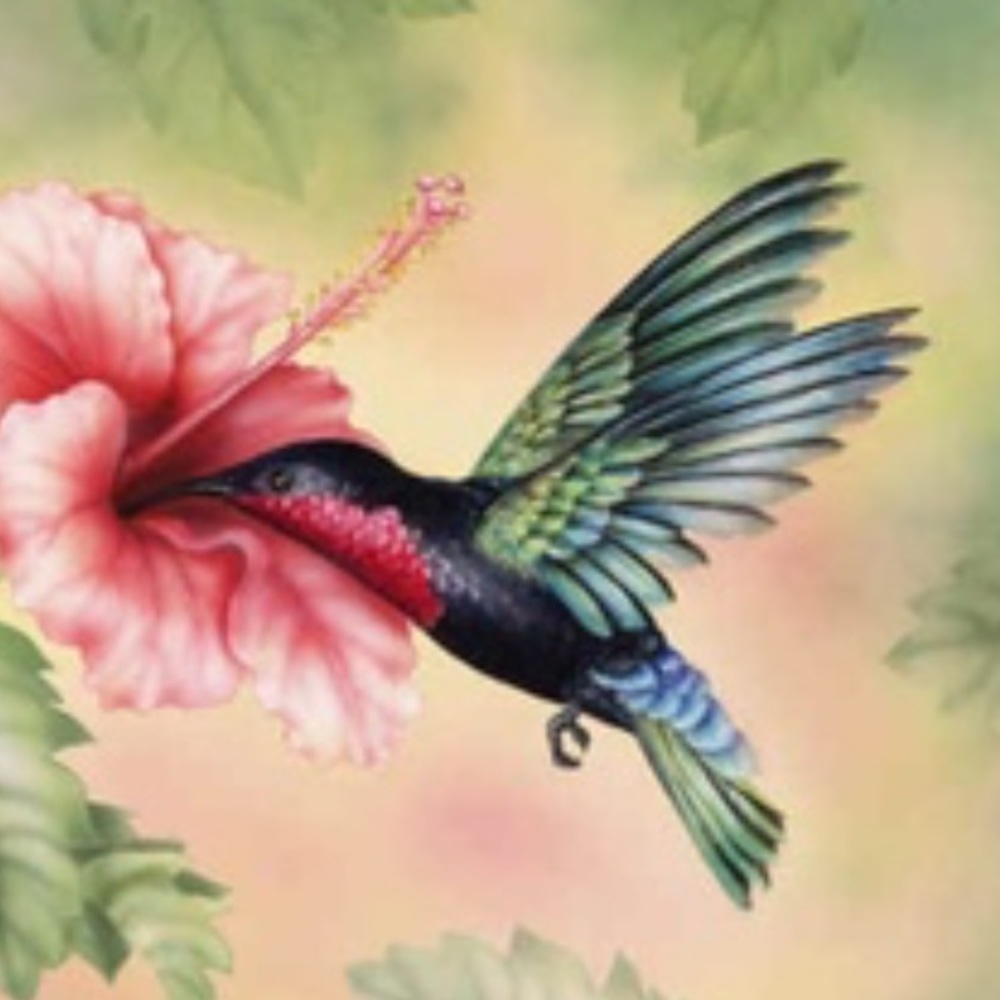 Meet your Posher, 12redshoes.